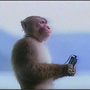 Meet your Posher, Andy